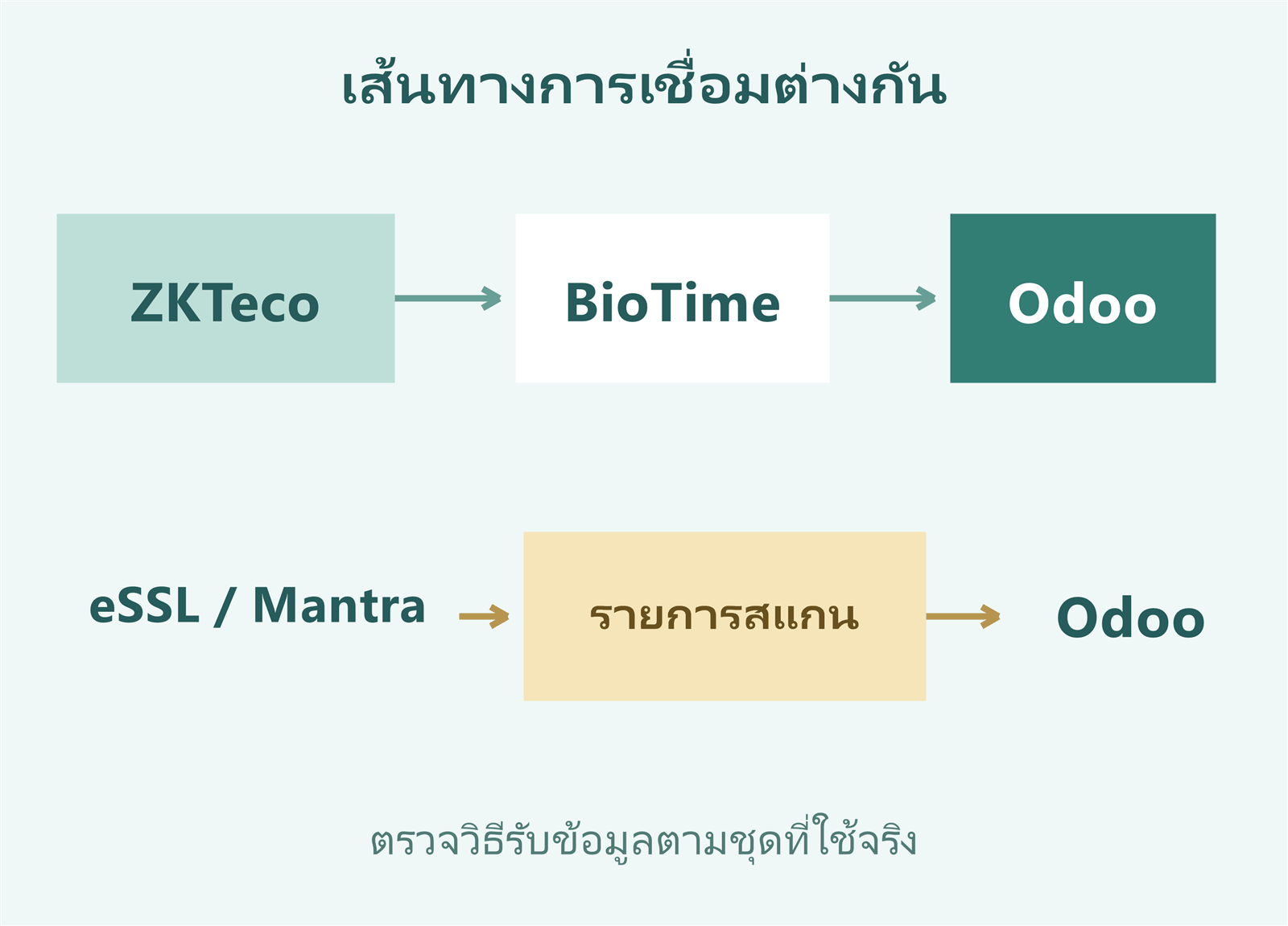 เส้นทาง ZKTeco ผ่าน BioTime และเส้นทาง eSSL หรือ Mantra ผ่านรายการสแกนเข้าสู่ Odoo